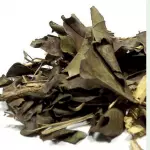 Canela de Velho