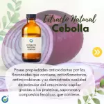 EXTRACTO HG CEBOLLA