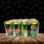 Fardo Brahma Malzbier 350ml