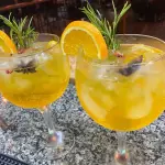 GIN TROPICAL PREMIUM