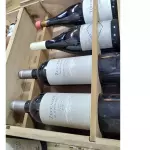 Kit eleitos zuccardi