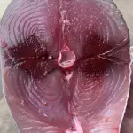 de ATUM KG