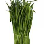一杂韭菜 Cebollina china