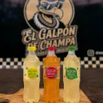 AGUA SABORIZADA
