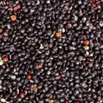 Quinoa negra