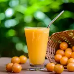 Suco Cajá 280ml