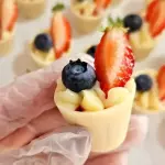 COPINHO FRUTAS VERMELHAS