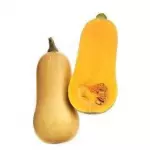 Anco Batata xKG (68)