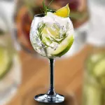 Gin Tonic / Gin & Tonic