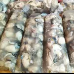 Ostión en bolsita