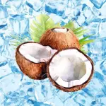Gelo de Coco