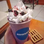 Frappes Frutos del Bosque