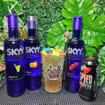 VODKA DE 1 LITRO