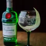 Dose Gin Tanqueray 50 ML