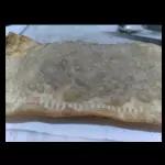 Pastel