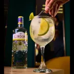 GIN & TONIC