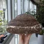 Pan de cacao