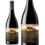 La Garnacha Olvidada De Aragón