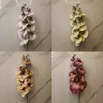 FLORES 0166A-9