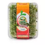 Germinado de Alfalfa con Rábano 200 grs
