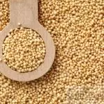 AMARANTO EM GRÃOS 100G