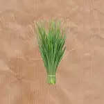 Capim cidreira (200g)