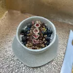 BOWL DE YOGURT GRIEGO