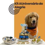 Kit AUniversário da Alegria