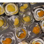 •LIVE RESIN