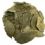Graviola