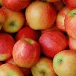 MANZANA GALA PROMOCION 6 UDS