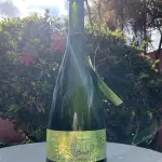 Otto Brut 🇧🇷