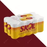 Fardo Skol 15un 269ml