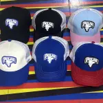 Gorra Polar (ELEGIR COLOR)