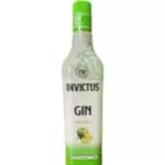 Gin Invictus Maça Verde 900ml