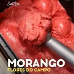 Morango - ZERO LACTOSE