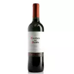 VINHO CASILLEIRO DEL DIABLO CARMENRE