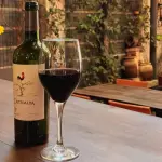 Copa de Vino