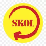 Skol 269ml