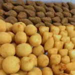 KIT DEGUSTAÇÃO ( 50 UNIDADES ) FRITO