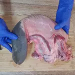 LENGUA DE RES