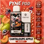 Pyne- Cantaloupe Apple 🍈🍏