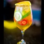 Gin Tropical