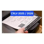 CRLV 2025/2026 DOCUMENTO DE VEICULOS