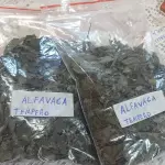 Alfavaca desidratada (10g)