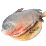 Cachama