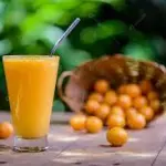 44 - Suco da Polpa de Caja