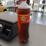 Manzanita 1.75