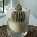 Vela Cactus Antorcha