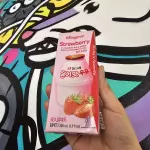 Leche de frutilla